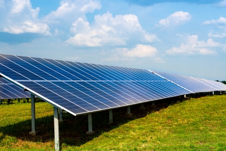 Commercial Solar Panel Fields Cleaning